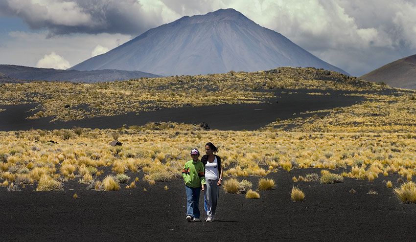 Reserva La Payunia